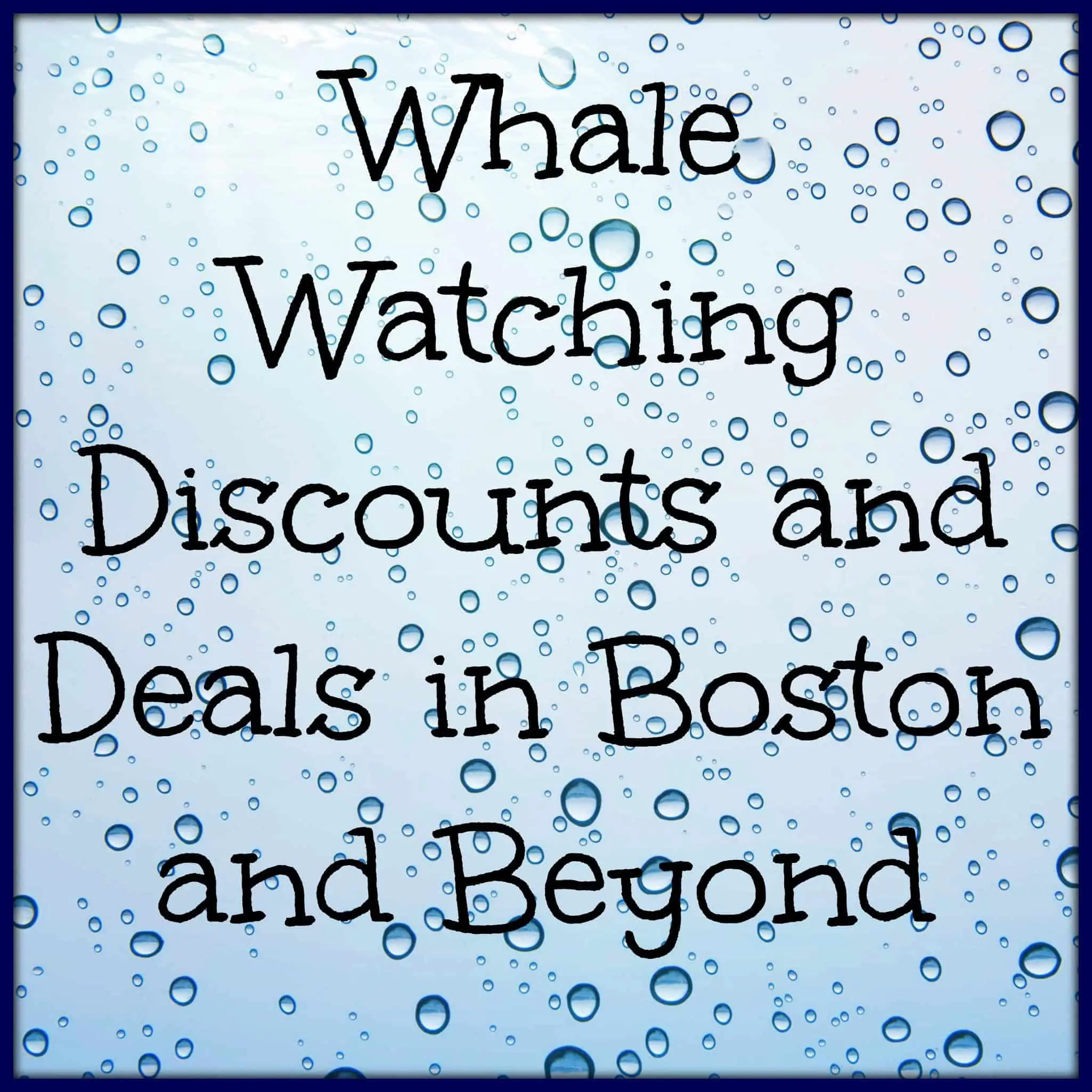 Whale Watching Discounts in Boston & Massachusetts! Boston on Budget