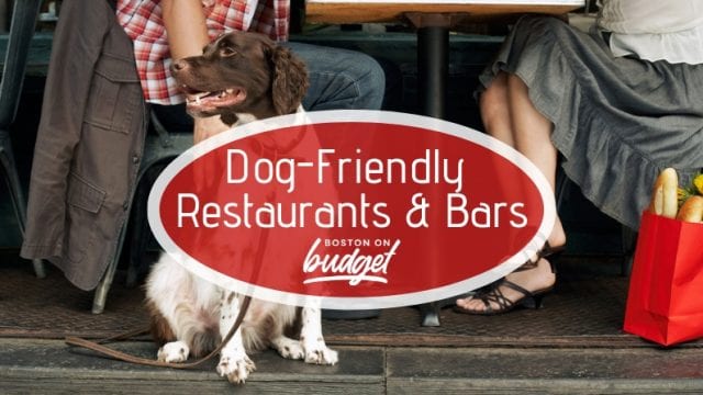 The Best Dog-Friendly Bars and Restaurants in Boston