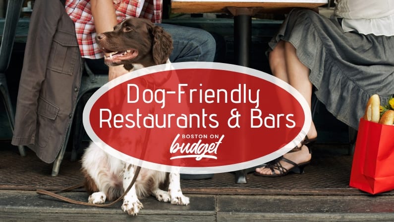 The Best Dog-Friendly Bars and Restaurants in Boston