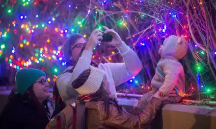 Stone Zoo Lights Christmas 2021: Tickets, Hours, Discounts, and More