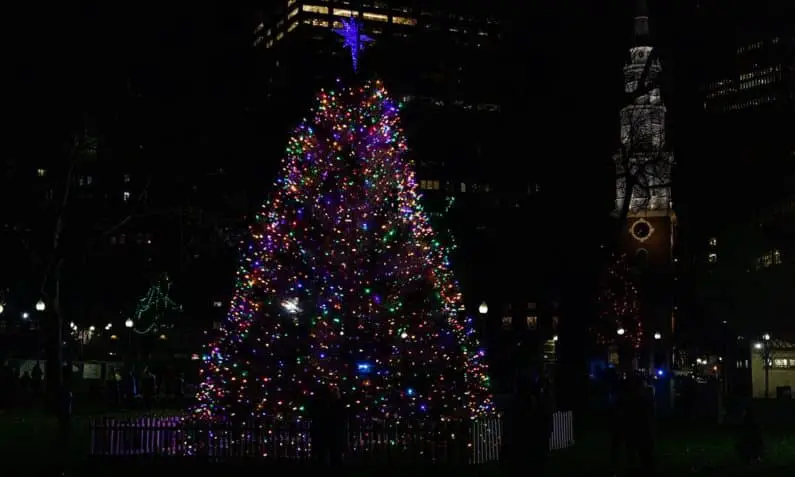Boston Public Garden Christmas Tree