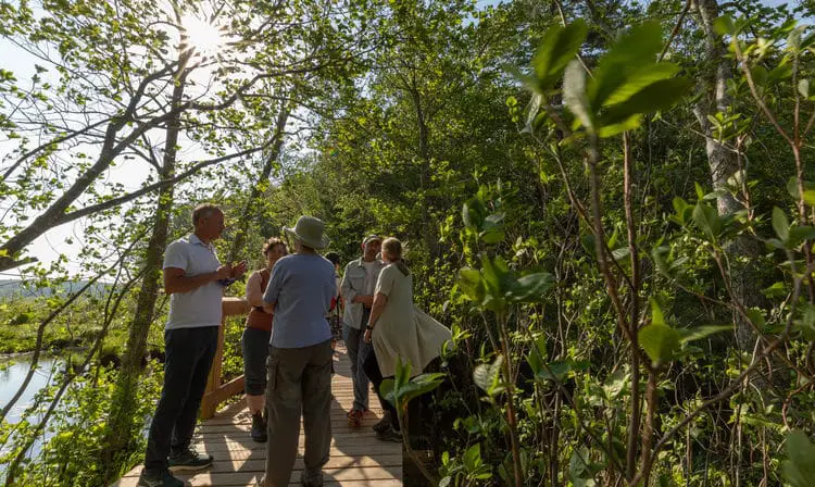 Three New Openings At Mass Audubon to Celebrate Summer
