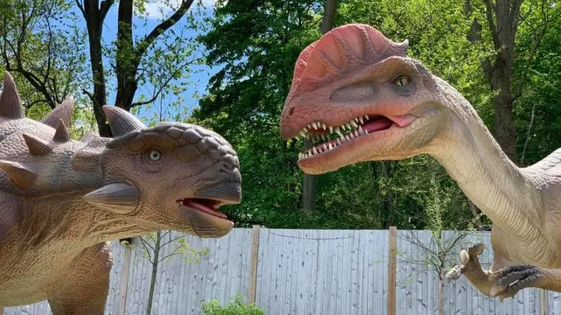 Stone Zoo T-Rex Adventure