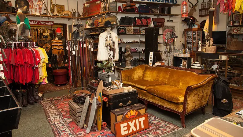 Thrift Stores in Boston - Vivant Vintage