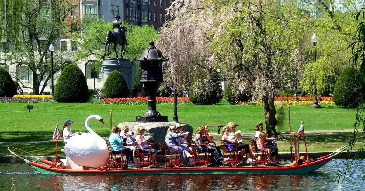 Things to do in Boston this Week - Swan Boats of Boston