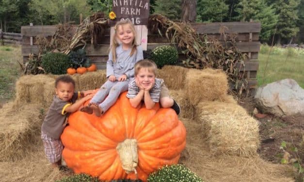 10 fun things to do in Boston with kids this weekend of September 23, 2022 include Pumpkin Picking at Nihtila Farm, Boston Landing’s Fall Crawl, and more!
