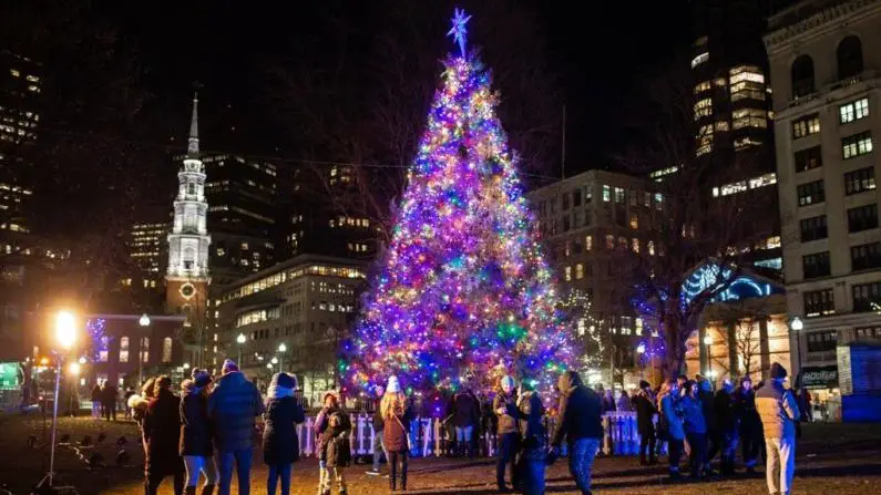 Things to do in Boston this week | Boston Common Holiday Tree Lighting